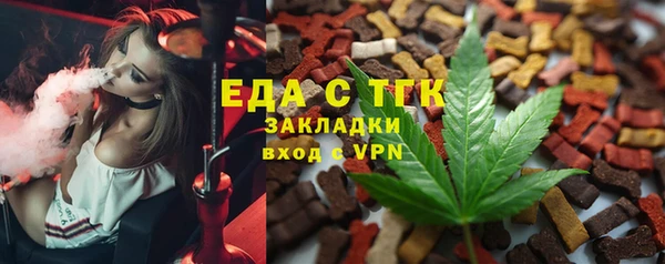 индика Аркадак